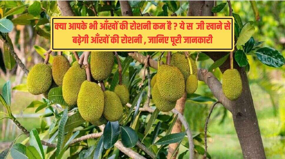 क्या आपके भी आँखों की रोशनी कम है ? ये सब्जी खाने से बढ़ेगी आँखों की रोशनी , जानिए पूरी जानकारी&nbsp;