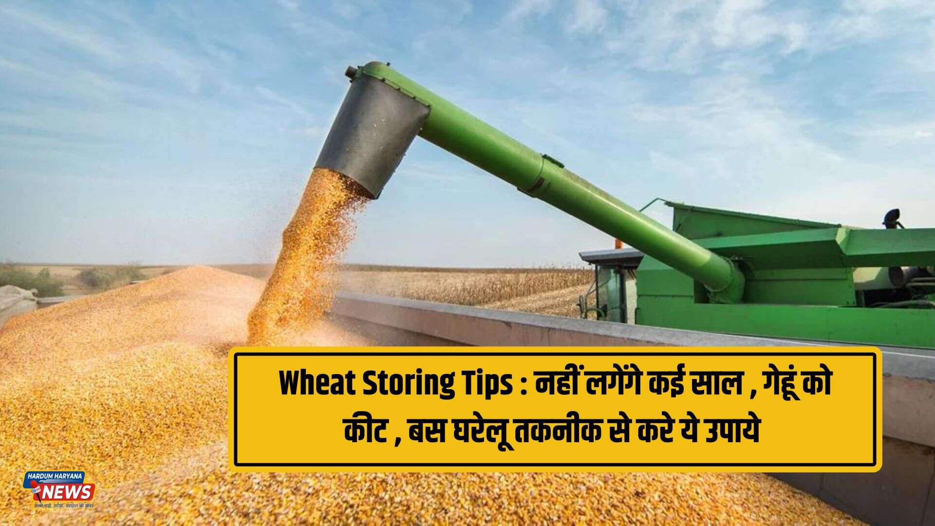Wheet Storage Injection Wheat Storing Tips : नहीं लगेंगे कई साल , गेहूं को कीट , बस घरेलू तकनीक ...
