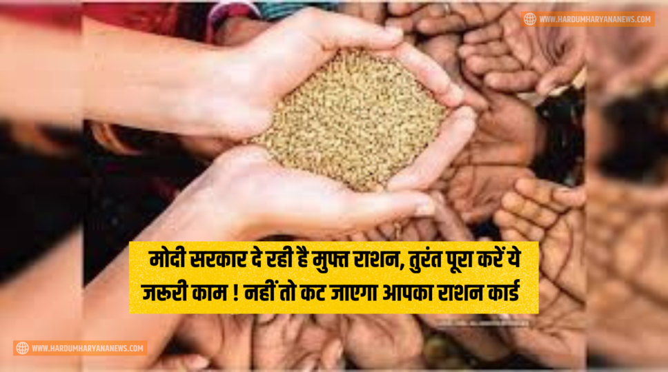 Free Ration : मोदी सरकार दे रही है मुफ्त राशन, तुरंत पूरा करें ये जरूरी काम ! नहीं तो कट जाएगा आपका राशन कार्ड &nbsp;