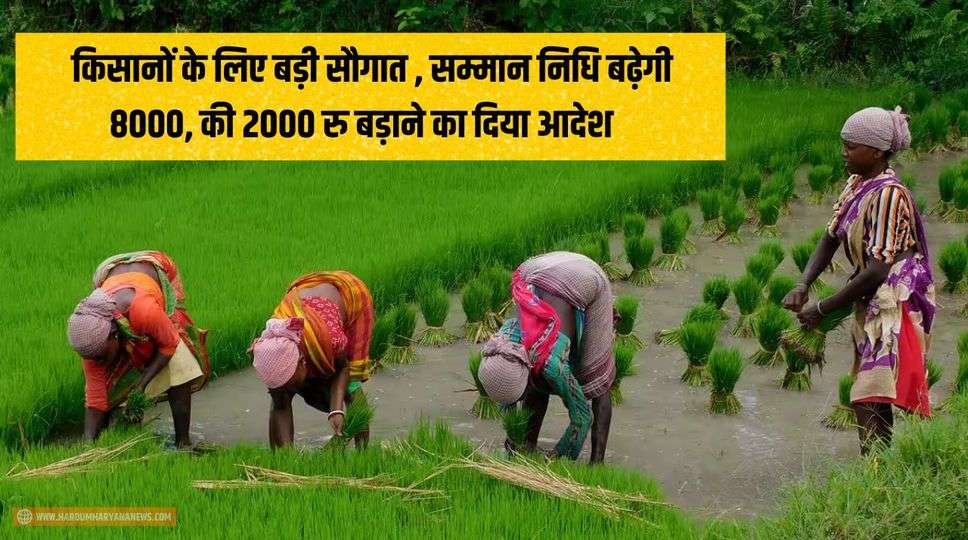  PM Kisan Nidhi : किसानों के लिए बड़ी सौगात , सम्मान निधि बढ़ेगी 8000, की  2000 रु बड़ाने का दिया आदेश , जानिए कैसे करे आवेदन 